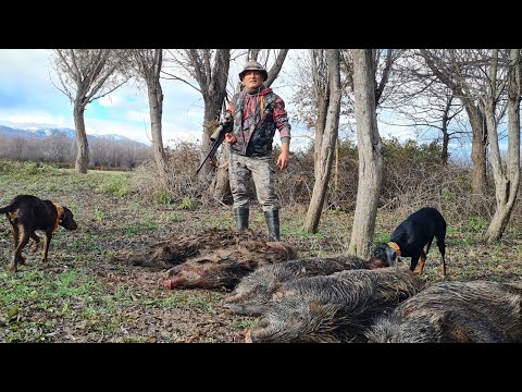 My Life, My World - Wild Boar Hunting