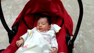 Aşkım Yağmur Linam.