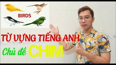TỪ VỰNG TIẾNG ANH chủ đề LOÀI CHIM