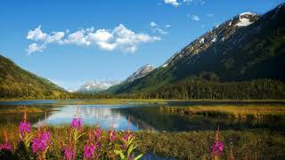 Nature Mountain Landscape sky clouds lake flowers No copyright, No Watermark, 100% Free Download