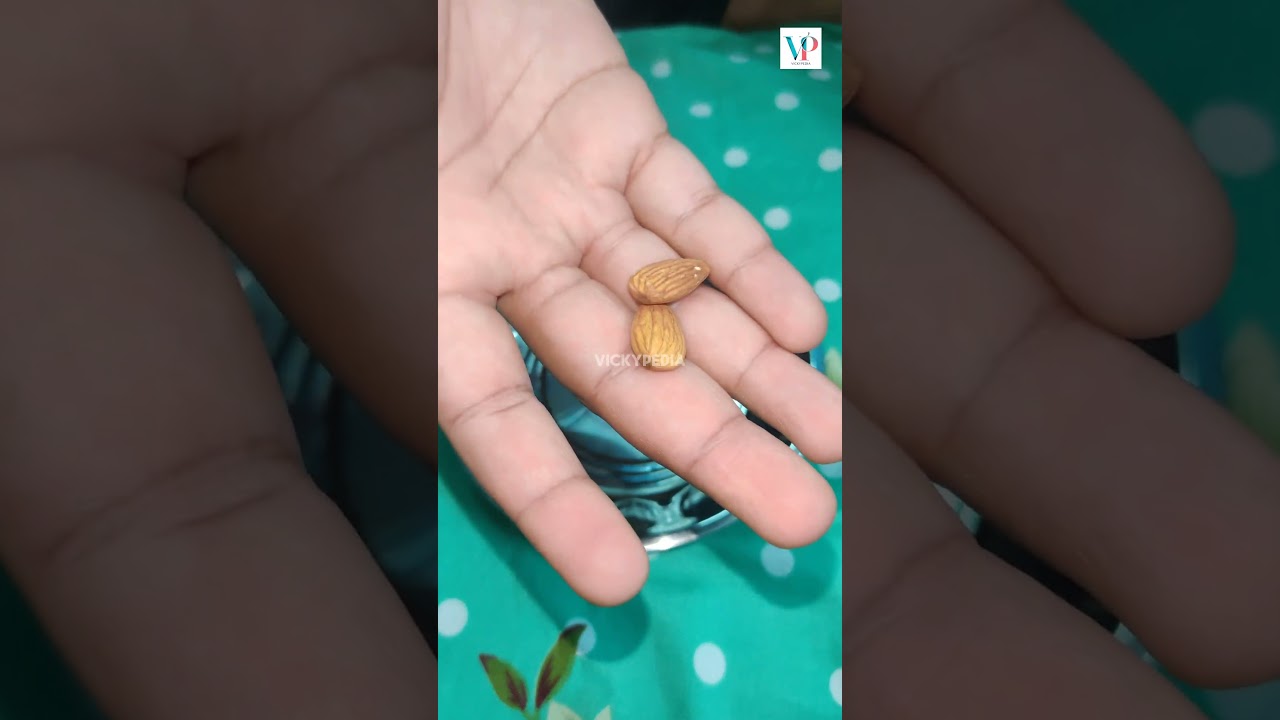 Under ₹90 Best Dry Fruit Cutter! 🔥 