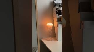 This Lamp Makes Nights Feel Completely Different