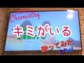 キミがいる 歌ってみた CHEMISTRY カラオケ