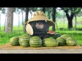 Watermelons are smiles of summer  bamboo panda  short animation  funny panda  summer