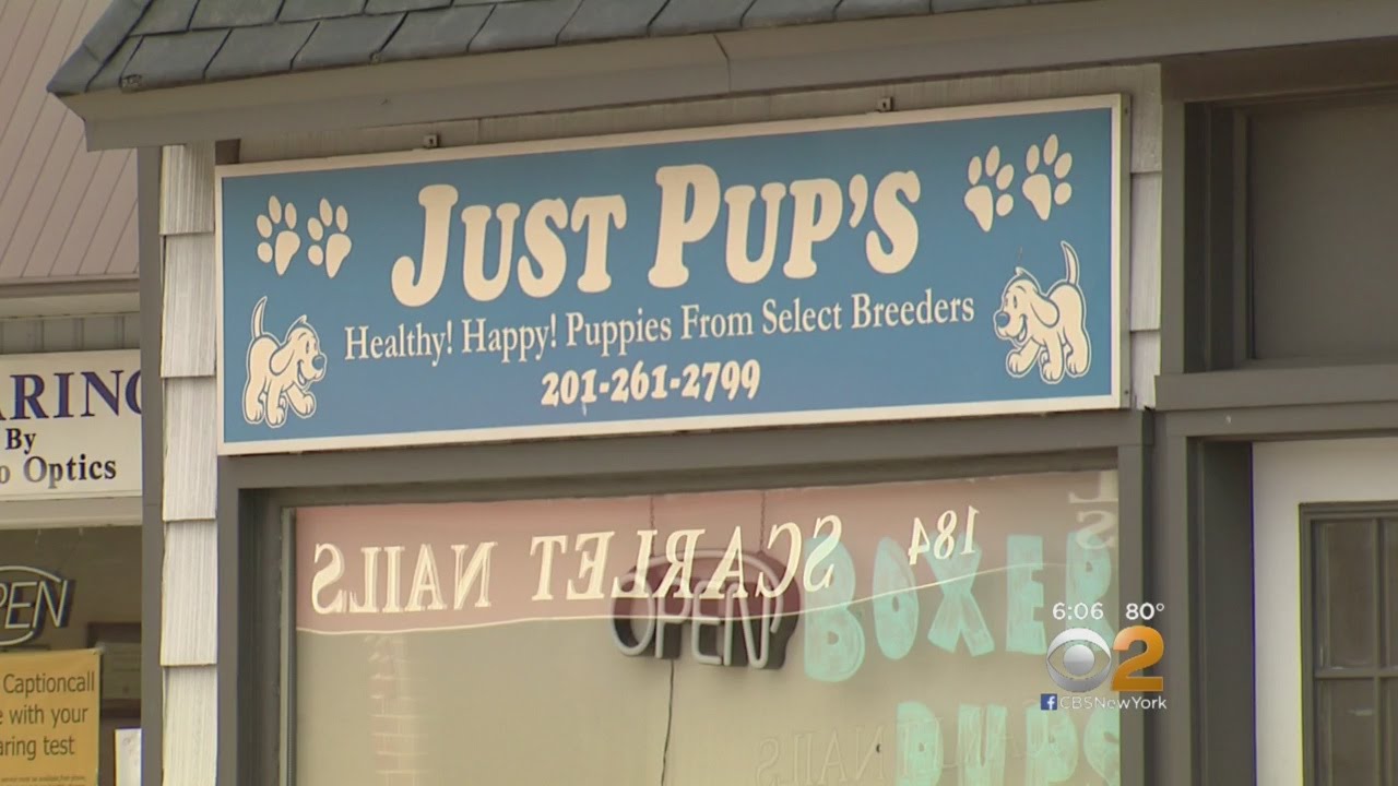 Just Pups Store Closes For Good