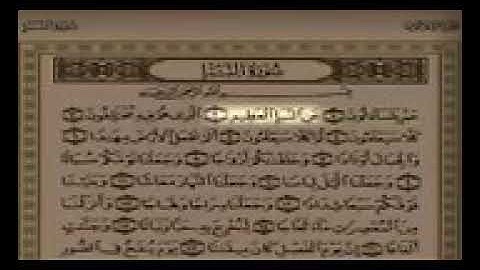 القارئ سلمان العتيبي سورة النبأ