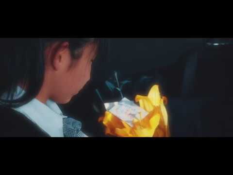 Coelacanth【さよならまたね】Music Video