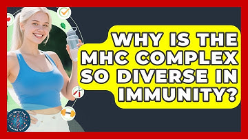 Why Is The MHC Complex So Diverse In Immunity? - All About the Immune System