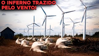 PORQUE TORRES EÓLICAS ESTÃO ACABANDO COM SÍTIOS E MATANDO ANIMAIS?