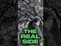 The Real Side: What is happening in Gainesville Fl - Real Estate - 2026