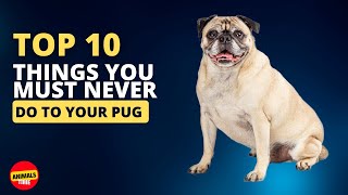 Top 10 Things You Must Never Do to Your Pug Dog