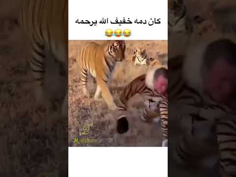 كان خفيف دم الله يرحمه