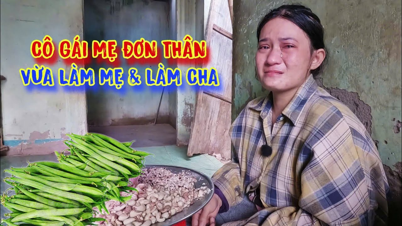 MỦI LÒNG cô gái vừa làm mẹ, vừa làm cha, GỒNG GÁNH nuôi cả gia đình - tập 1585