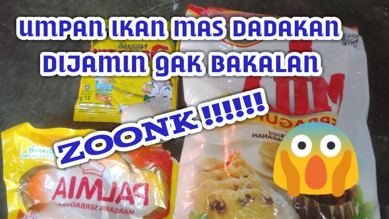 Umpan Ikan Mas Dadakan - Mudah Dan Peraktis