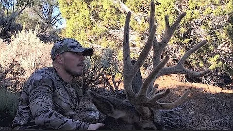 Giant Nevada Muzzleloader Buck