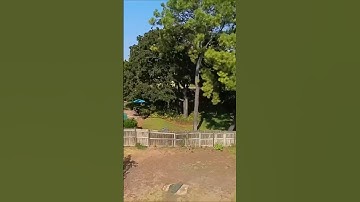 No Drone, no problem using the Insta360 X3
