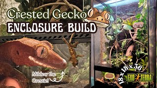 getting a reptile & building a bioactive enclosure | meet Mildew the crested gecko🦎