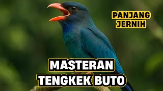 MASTERAN TENGKEK BUTO GACOR, JERNIH & SPEED RAPAT