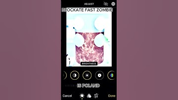 BLOCKATE FAST ZOMBIE IS POLAND