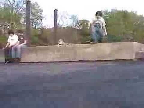 Barry 360 flip ledge