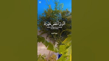 سورة الشرح 🤍 #القرآن_الكريم #اكسبلور #المصحف #دويتو #راحة_نفسية #اللهم_صل_وسلم_على_نبينا_محمد #لايك