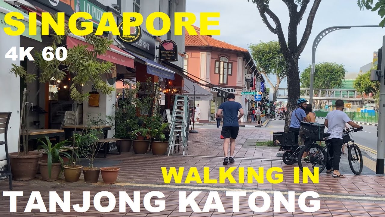 Walking in Singapore (August 2021): Tanjong Katong along Haig Road and Haig Walk