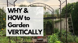 WHY and HOW to GARDEN VERTICALLY - Learn how to add vertical space in your garden