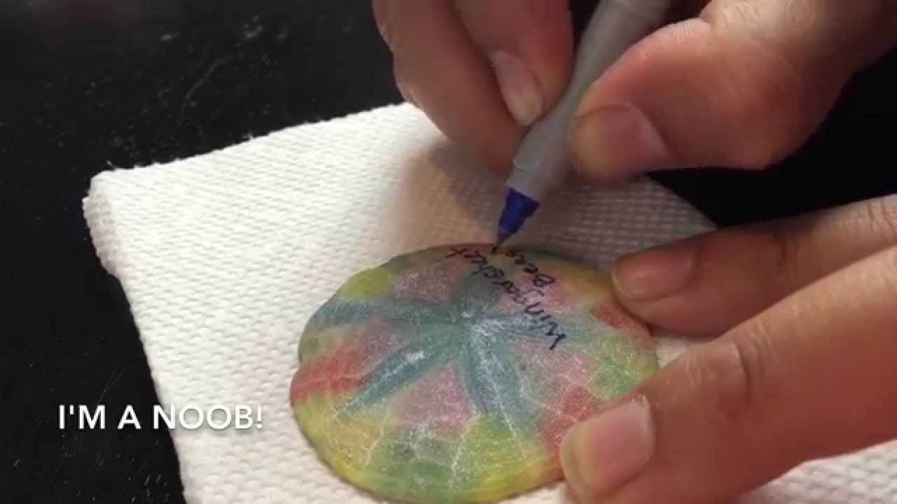 Sand Dollar Craft