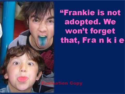 Funny Jonas Brothers Quotes! - YouTube