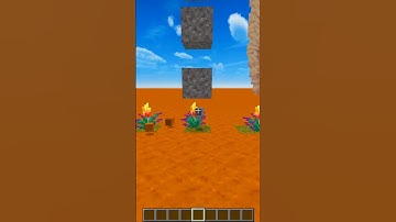 TorchFlower Logic in Minecraft 🔥 #shorts