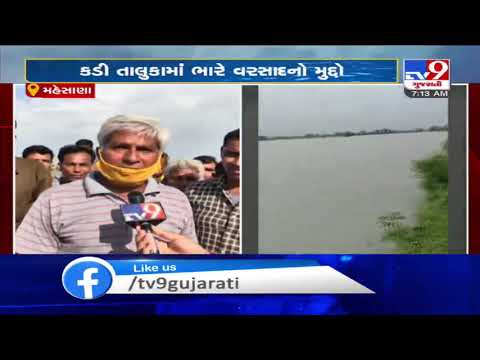 Farmers across Gujarat stare at huge loss due to excessive rainfall | TV9News