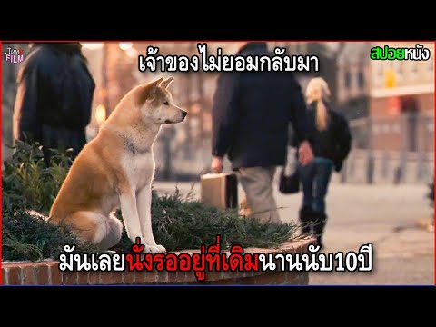 หมาพันธุ์ชิบะ นั่งรอเจ้าของที่ไม่ยอมกลับมา อยู่ที่เดิมไม่ไปไหนนานนับ 10 ปี | สปอยหนัง