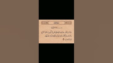 #اكسبلور #دويتو #تلاوة_خاشعة تجليات المنشاوي #لايك #راحة_نفسية