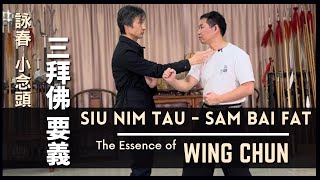 詠春 小念頭 - 三拜佛 要義 The Essence of Wing Chun - Siu Nim Tau - Sam Bai Fat