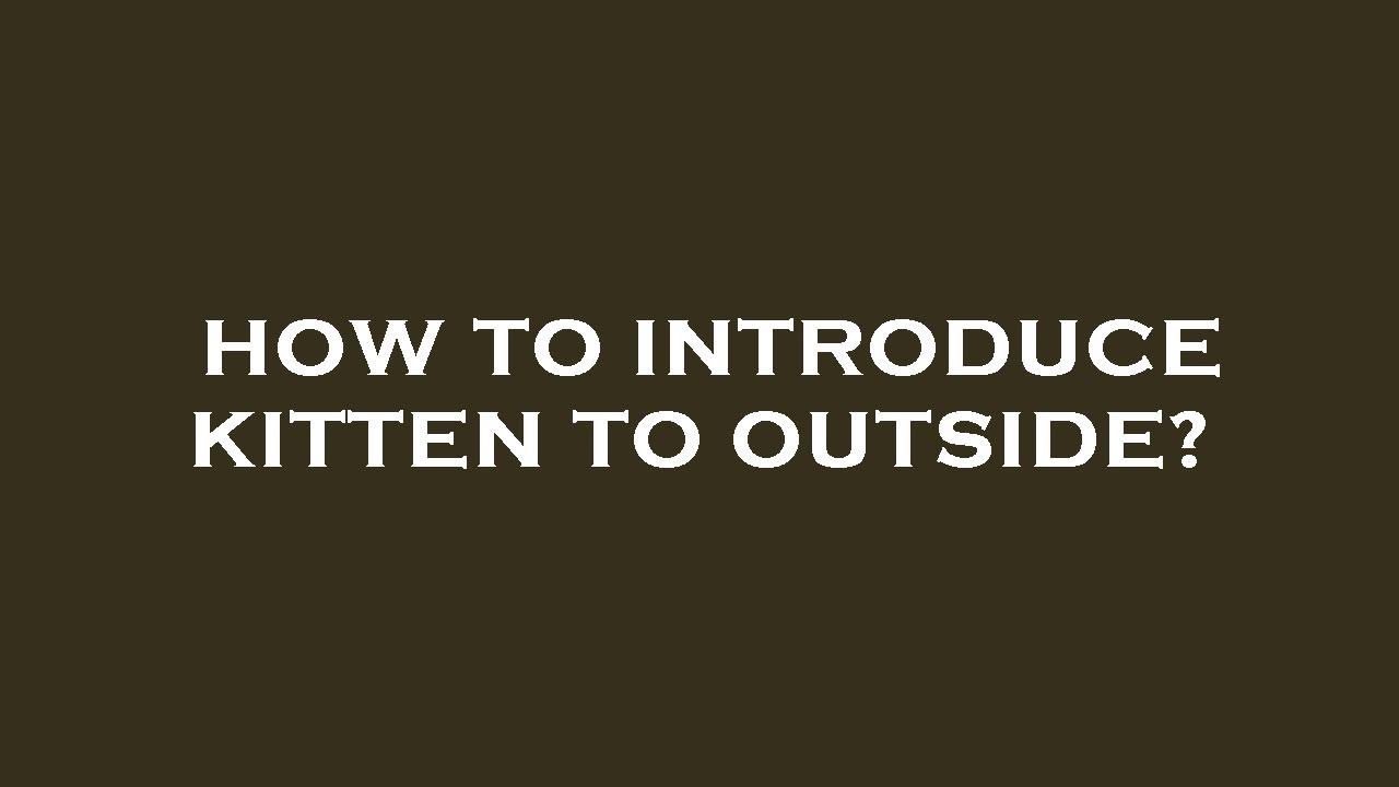 How to introduce kitten to outside? YouTube