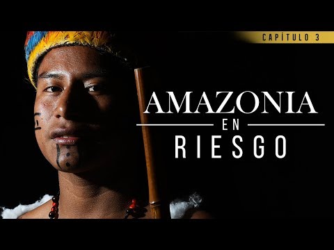 Amazonia en riesgo: la autodeterminación indígena en el pulmón del mundo | El Espectador