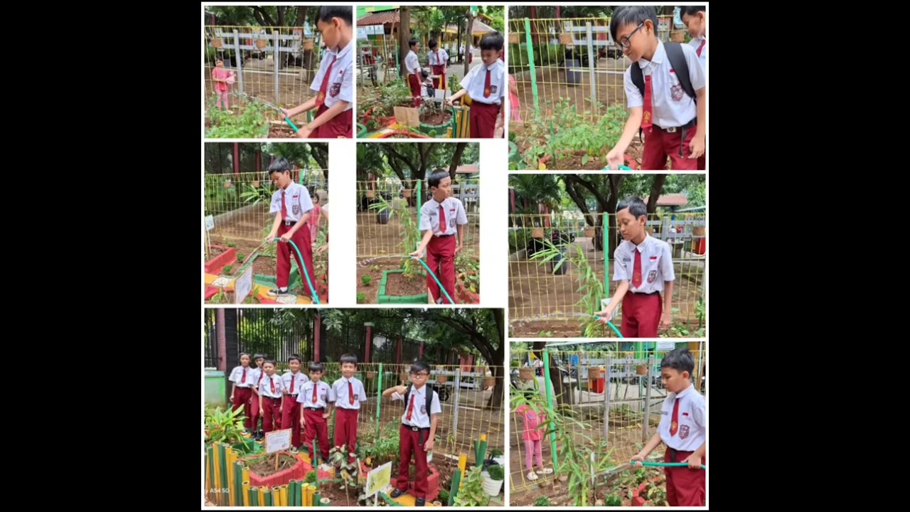 TAMAN TOGA (Tanaman Toga Keluarga) Kelas 3B SDN Pondok Kelapa 03