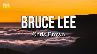 Chris Brown - Bruce Lee (lyrics) | It gets hard to float when you keep adding weight to pull me down