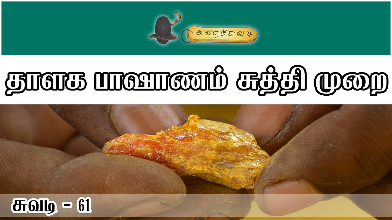தாளக பாஷாணம் சுத்தி முறை | சுவடி - 61