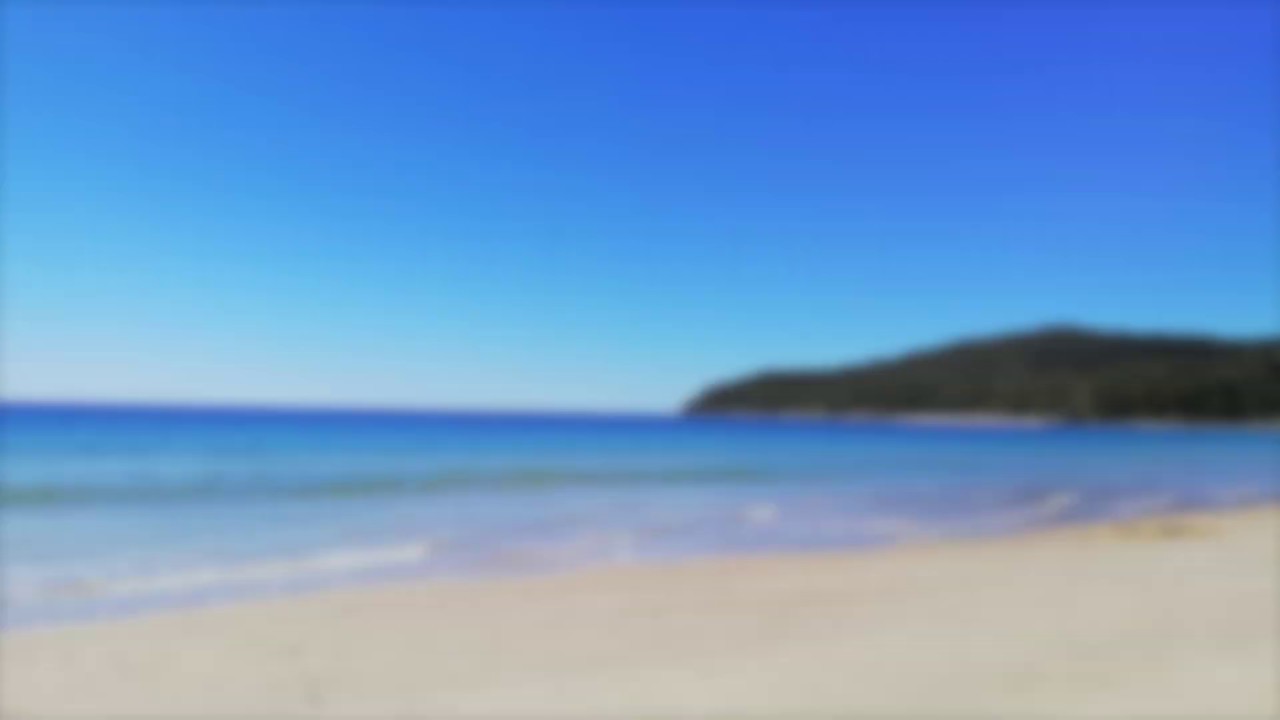 Road Trip Sunshine Coast Kondalilla Falls and Noosa Australia2 YouTube