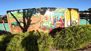 Testing HERO11 (not a review)