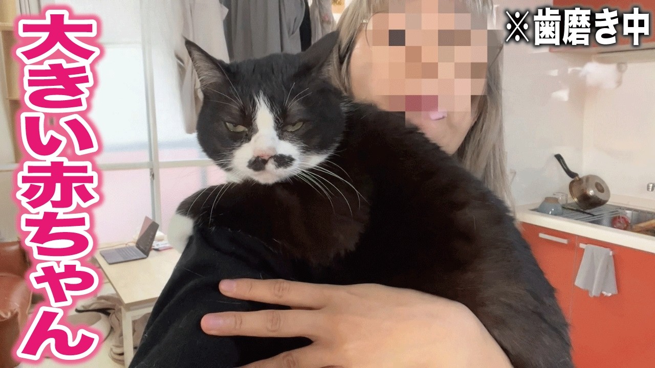 意地でも肩から降りたくないかわいい甘えん坊