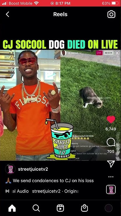 What Happened To Cj So Cool Dog Bruno CJ so cool dog die on live - YouTube