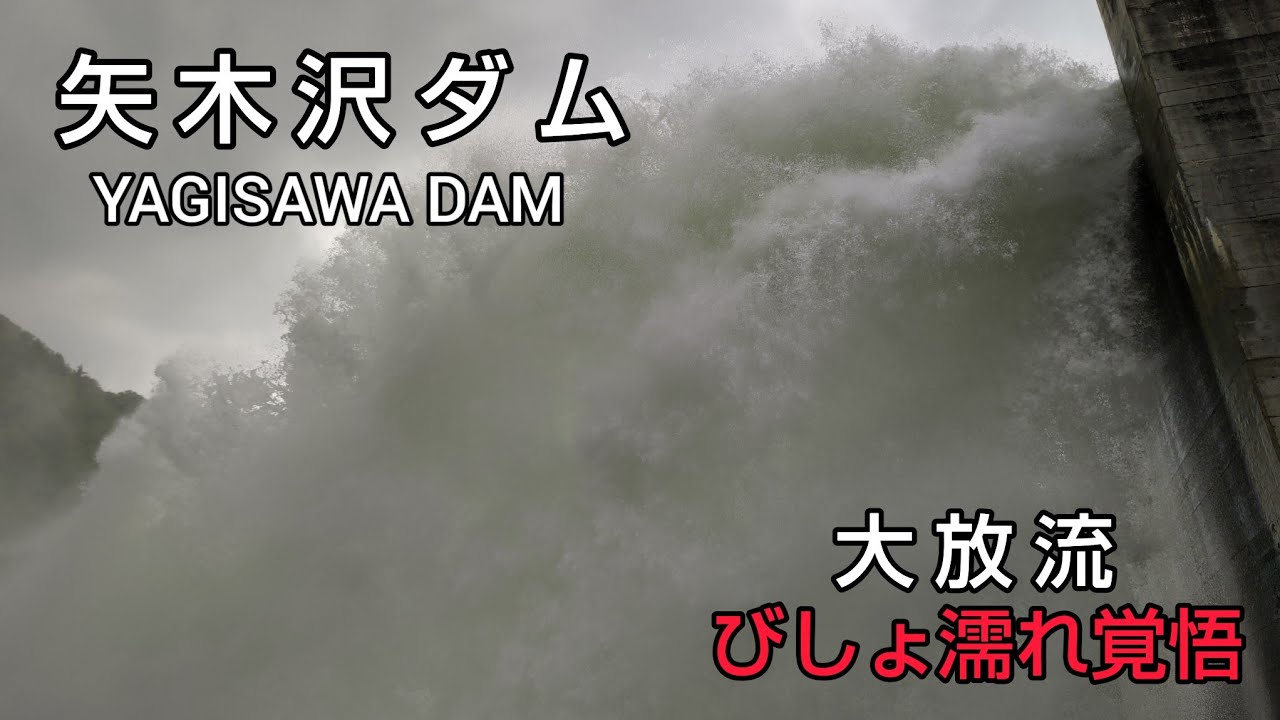 【矢木沢ダム ダムカード】Part38 みなかみ３ダム・春の点検大放流 後編。宿にWishを預けてシャトルバスに乗り矢木沢ダム（大放流ずぶ濡れ＆アーチダム直下等）を満喫します。