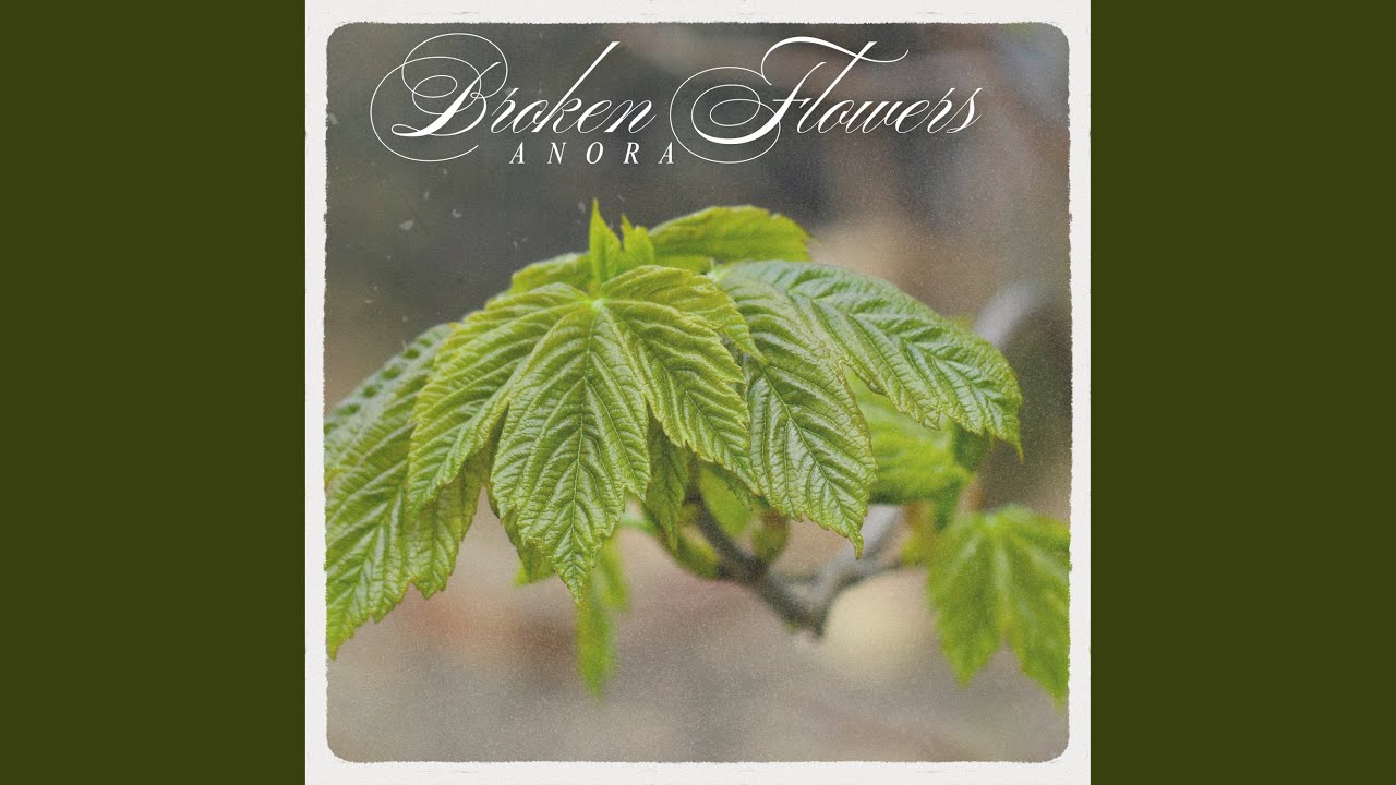 Watch Broken Flowers (Radio Edit) on YouTube Watch Broken Flowers (Radio Edit) on YouTube