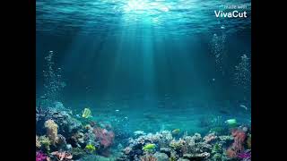 ocean beat!! #FlowMuzik #lovemakebeat God'sGiftSamBriu