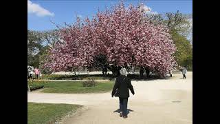 Paris Et Les Rives Gauches Et Droite