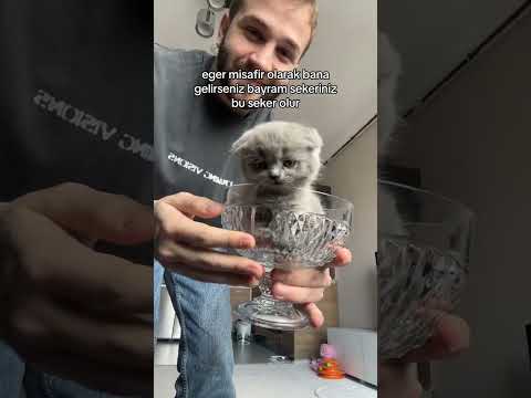 Kurban bayramınız mübarek olsunn
