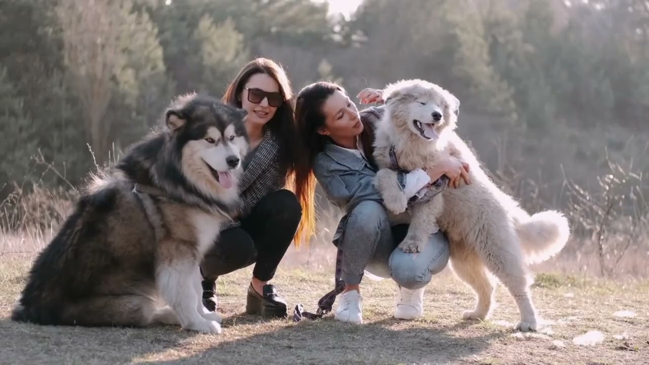 SHOCKING List Of 10 Most DANGEROUS Animals Alive Today