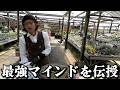 ストレス社会に負けないカーメン君の最強マインドが凄過ぎた！！！【カーメン君】【園芸】【ガーデニング】